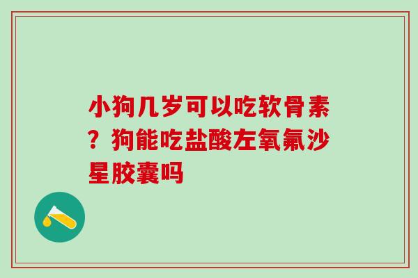 小狗几岁可以吃软骨素?狗能吃盐酸左氧氟沙星胶囊吗-第1张图片-氨糖科普网 小狗几岁可以吃软骨素?狗能吃盐酸左氧氟沙星胶囊吗-第1张图片-氨糖科普网