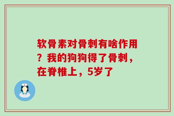 软骨素对骨刺有啥作用？我的狗狗得了骨刺，在脊椎上，5岁了-第1张图片-氨糖科普网