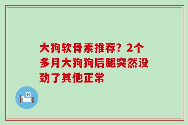 大狗软骨素推荐?2个多月大狗狗后腿突然没劲了其他正常-第1张图片-氨糖科普网 大狗软骨素推荐?2个多月大狗狗后腿突然没劲了其他正常-第1张图片-氨糖科普网