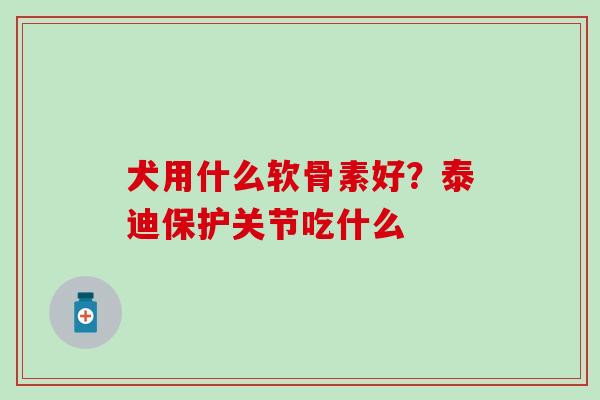 犬用什么软骨素好？泰迪保护关节吃什么-第1张图片-氨糖科普网