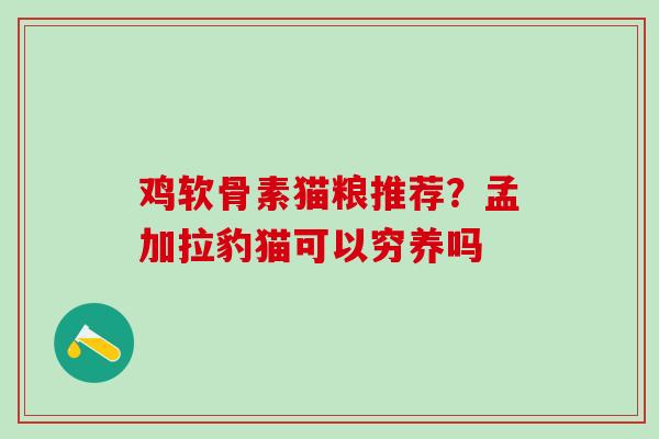鸡软骨素猫粮推荐？孟加拉豹猫可以穷养吗-第1张图片-氨糖科普网