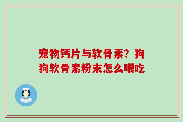 宠物钙片与软骨素?狗狗软骨素粉末怎么喂吃-第1张图片-氨糖科普网 宠物钙片与软骨素?狗狗软骨素粉末怎么喂吃-第1张图片-氨糖科普网