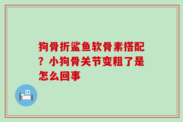 狗骨折鲨鱼软骨素搭配?小狗骨关节变粗了是怎么回事-第1张图片-氨糖科普网 狗骨折鲨鱼软骨素搭配?小狗骨关节变粗了是怎么回事-第1张图片-氨糖科普网