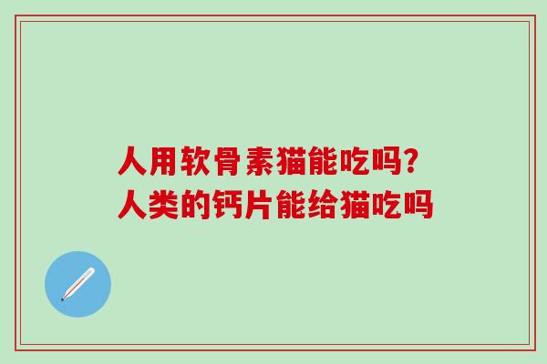 人用软骨素猫能吃吗?人类的钙片能给猫吃吗-第1张图片-氨糖科普网 人用软骨素猫能吃吗?人类的钙片能给猫吃吗-第1张图片-氨糖科普网