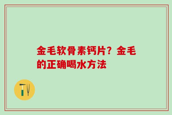 金毛软骨素钙片?金毛的正确喝水方法-第1张图片-氨糖科普网 金毛软骨素钙片?金毛的正确喝水方法-第1张图片-氨糖科普网