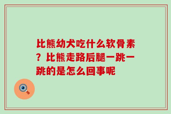 比熊幼犬吃什么软骨素?比熊走路后腿一跳一跳的是怎么回事呢-第1张图片-氨糖科普网 比熊幼犬吃什么软骨素?比熊走路后腿一跳一跳的是怎么回事呢-第1张图片-氨糖科普网