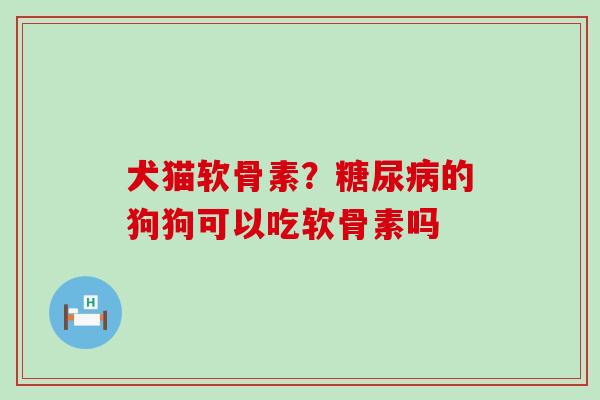 犬猫软骨素?糖尿病的狗狗可以吃软骨素吗-第1张图片-氨糖科普网 犬猫软骨素?糖尿病的狗狗可以吃软骨素吗-第1张图片-氨糖科普网