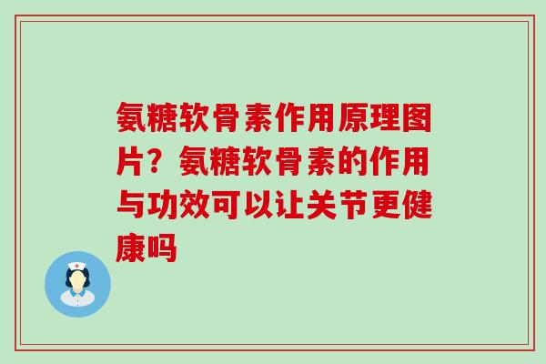 氨糖软骨素作用原理图片?氨糖软骨素的作用与功效可以让关节更健康吗-第1张图片-氨糖科普网 氨糖软骨素作用原理图片?氨糖软骨素的作用与功效可以让关节更健康吗-第1张图片-氨糖科普网