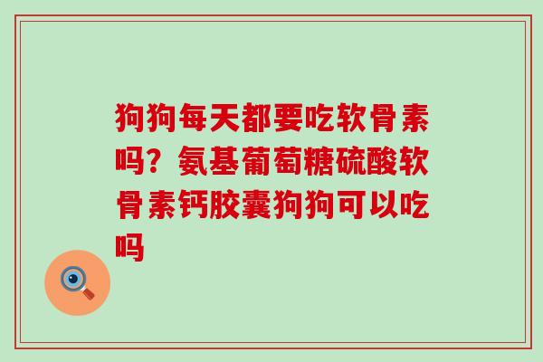 狗狗每天都要吃软骨素吗？氨基葡萄糖硫酸软骨素钙胶囊狗狗可以吃吗-第1张图片-氨糖科普网