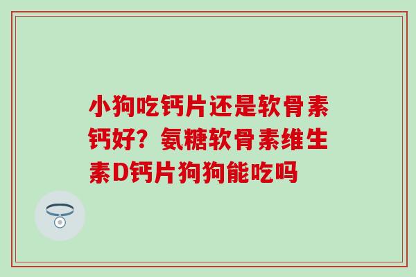 小狗吃钙片还是软骨素钙好?氨糖软骨素维生素D钙片狗狗能吃吗-第1张图片-氨糖科普网 小狗吃钙片还是软骨素钙好?氨糖软骨素维生素D钙片狗狗能吃吗-第1张图片-氨糖科普网