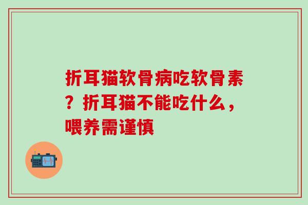 折耳猫软骨病吃软骨素?折耳猫不能吃什么,喂养需谨慎-第1张图片-氨糖科普网 折耳猫软骨病吃软骨素?折耳猫不能吃什么,喂养需谨慎-第1张图片-氨糖科普网