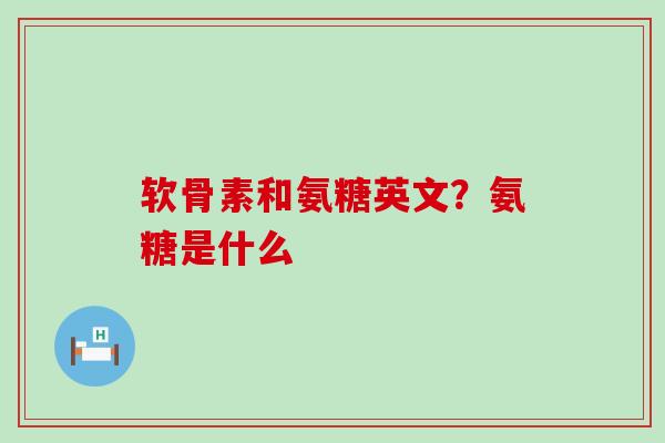 软骨素和氨糖英文?氨糖是什么-第1张图片-氨糖科普网 软骨素和氨糖英文?氨糖是什么-第1张图片-氨糖科普网