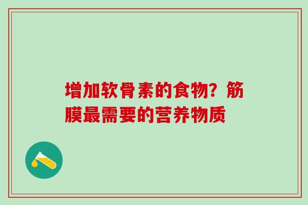增加软骨素的食物?筋膜最需要的营养物质-第1张图片-氨糖科普网 增加软骨素的食物?筋膜最需要的营养物质-第1张图片-氨糖科普网