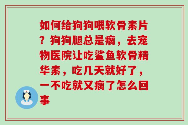 如何给狗狗喂软骨素片？狗狗腿总是瘸，去宠物医院让吃鲨鱼软骨精华素，吃几天就好了，一不吃就又瘸了怎么回事-第1张图片-氨糖科普网