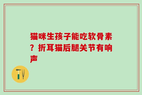猫咪生孩子能吃软骨素？折耳猫后腿关节有响声-第1张图片-氨糖科普网