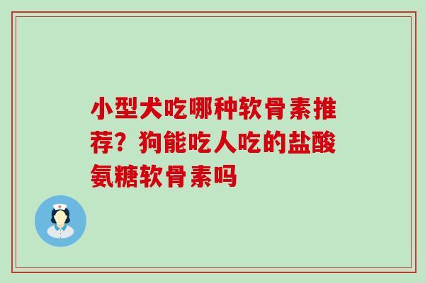 小型犬吃哪种软骨素推荐？狗能吃人吃的盐酸氨糖软骨素吗-第1张图片-氨糖科普网