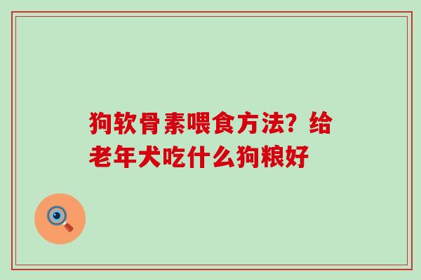 狗软骨素喂食方法？给老年犬吃什么狗粮好-第1张图片-氨糖科普网