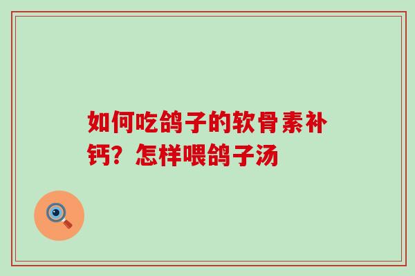 如何吃鸽子的软骨素补钙？怎样喂鸽子汤-第1张图片-氨糖科普网