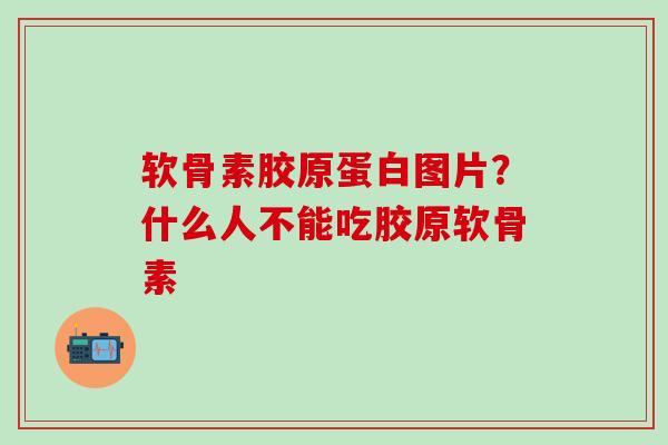 软骨素胶原蛋白图片？什么人不能吃胶原软骨素-第1张图片-氨糖科普网