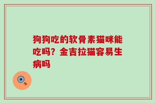狗狗吃的软骨素猫咪能吃吗？金吉拉猫容易生病吗-第1张图片-氨糖科普网