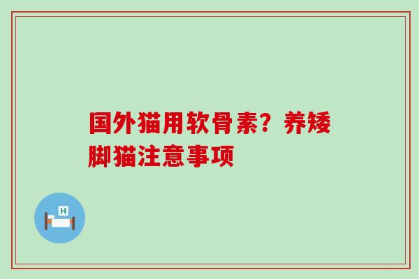 国外猫用软骨素？养矮脚猫注意事项-第1张图片-氨糖科普网