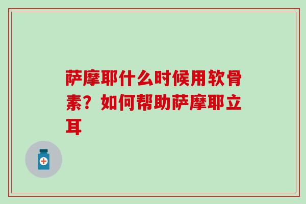 萨摩耶什么时候用软骨素?如何帮助萨摩耶立耳-第1张图片-氨糖科普网 萨摩耶什么时候用软骨素?如何帮助萨摩耶立耳-第1张图片-氨糖科普网