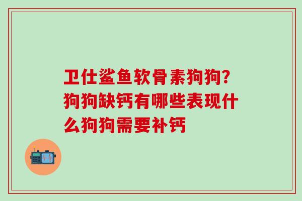 卫仕鲨鱼软骨素狗狗?狗狗缺钙有哪些表现什么狗狗需要补钙-第1张图片-氨糖科普网 卫仕鲨鱼软骨素狗狗?狗狗缺钙有哪些表现什么狗狗需要补钙-第1张图片-氨糖科普网