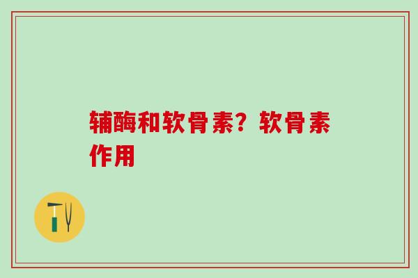 辅酶和软骨素？软骨素作用-第1张图片-氨糖科普网