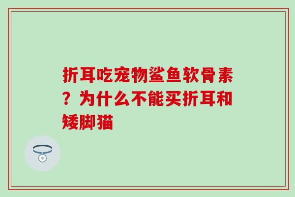 折耳吃宠物鲨鱼软骨素？为什么不能买折耳和矮脚猫-第1张图片-氨糖科普网