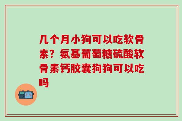 几个月小狗可以吃软骨素？氨基葡萄糖硫酸软骨素钙胶囊狗狗可以吃吗-第1张图片-氨糖科普网
