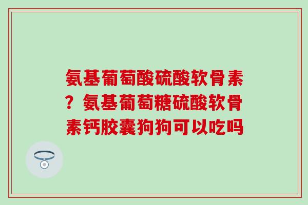 氨基葡萄酸硫酸软骨素?氨基葡萄糖硫酸软骨素钙胶囊狗狗可以吃吗-第1张图片-氨糖科普网 氨基葡萄酸硫酸软骨素?氨基葡萄糖硫酸软骨素钙胶囊狗狗可以吃吗-第1张图片-氨糖科普网