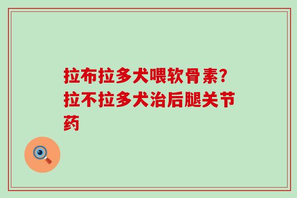 拉布拉多犬喂软骨素？拉不拉多犬治后腿关节药-第1张图片-氨糖科普网