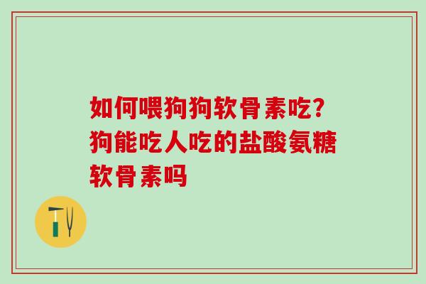 如何喂狗狗软骨素吃？狗能吃人吃的盐酸氨糖软骨素吗-第1张图片-氨糖科普网
