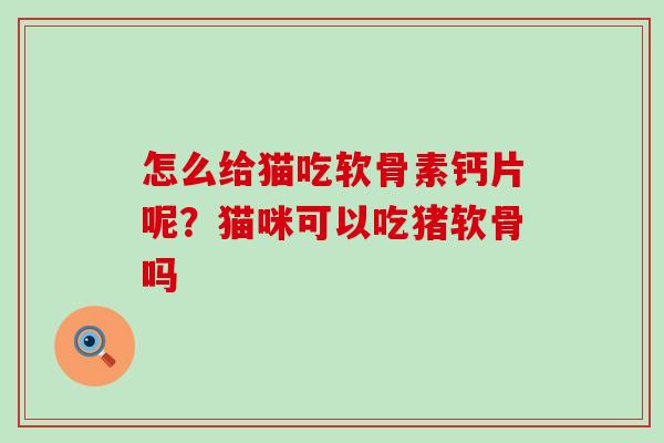 怎么给猫吃软骨素钙片呢?猫咪可以吃猪软骨吗-第1张图片-氨糖科普网 怎么给猫吃软骨素钙片呢?猫咪可以吃猪软骨吗-第1张图片-氨糖科普网