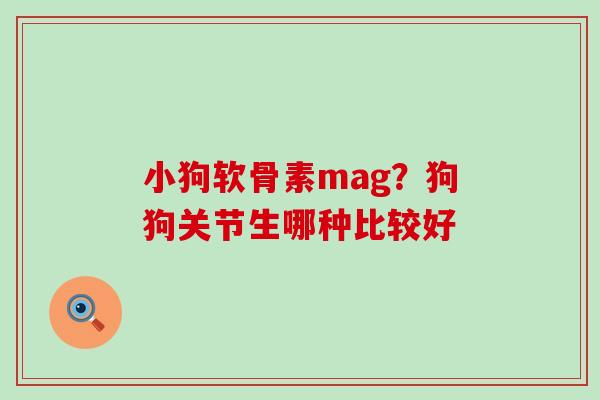 小狗软骨素mag？狗狗关节生哪种比较好-第1张图片-氨糖科普网