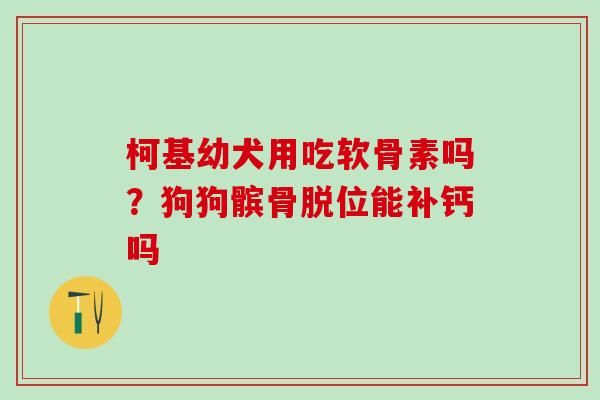 柯基幼犬用吃软骨素吗？狗狗髌骨脱位能补钙吗-第1张图片-氨糖科普网