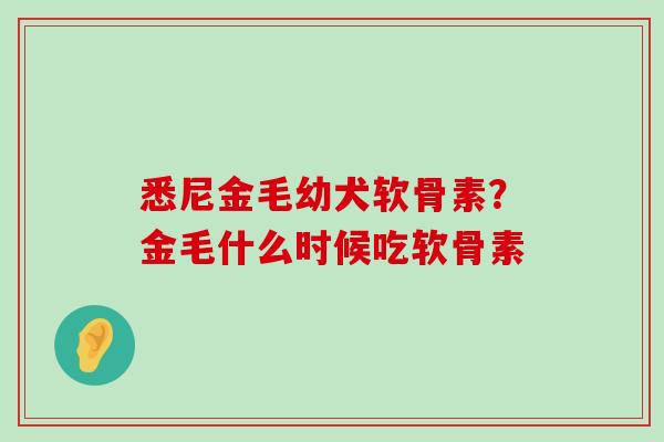 悉尼金毛幼犬软骨素？金毛什么时候吃软骨素-第1张图片-氨糖科普网