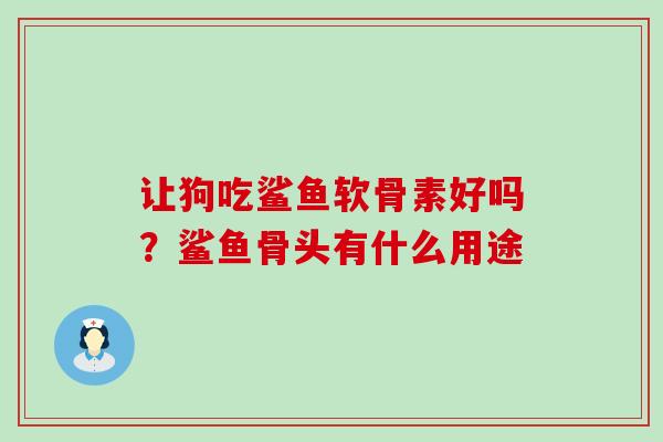 让狗吃鲨鱼软骨素好吗?鲨鱼骨头有什么用途-第1张图片-氨糖科普网 让狗吃鲨鱼软骨素好吗?鲨鱼骨头有什么用途-第1张图片-氨糖科普网