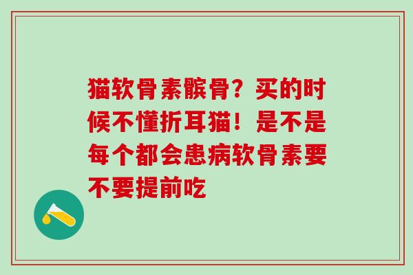 猫软骨素髌骨?买的时候不懂折耳猫!是不是每个都会患病软骨素要不要提前吃-第1张图片-氨糖科普网 猫软骨素髌骨?买的时候不懂折耳猫!是不是每个都会患病软骨素要不要提前吃-第1张图片-氨糖科普网