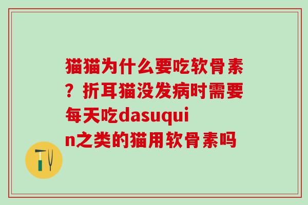 猫猫为什么要吃软骨素?折耳猫没发病时需要每天吃dasuquin之类的猫用软骨素吗-第1张图片-氨糖科普网 猫猫为什么要吃软骨素?折耳猫没发病时需要每天吃dasuquin之类的猫用软骨素吗-第1张图片-氨糖科普网
