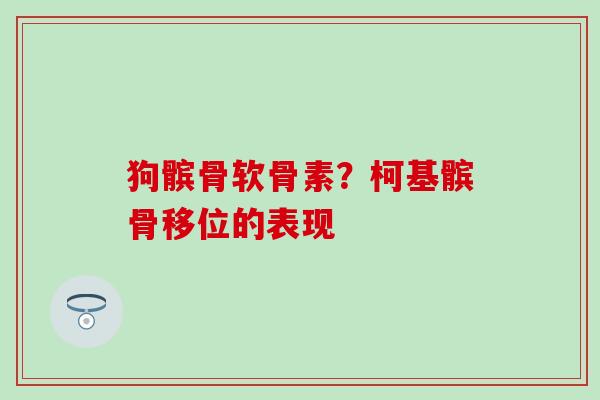 狗髌骨软骨素？柯基髌骨移位的表现-第1张图片-氨糖科普网