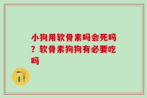 小狗用软骨素吗会死吗？软骨素狗狗有必要吃吗-第1张图片-氨糖科普网