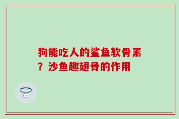 狗能吃人的鲨鱼软骨素?沙鱼趣翅骨的作用-第1张图片-氨糖科普网 狗能吃人的鲨鱼软骨素?沙鱼趣翅骨的作用-第1张图片-氨糖科普网
