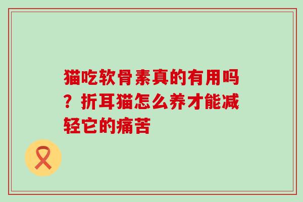猫吃软骨素真的有用吗?折耳猫怎么养才能减轻它的痛苦-第1张图片-氨糖科普网 猫吃软骨素真的有用吗?折耳猫怎么养才能减轻它的痛苦-第1张图片-氨糖科普网
