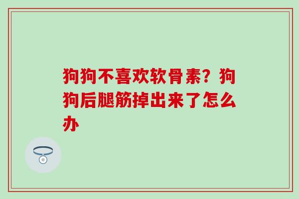 狗狗不喜欢软骨素？狗狗后腿筋掉出来了怎么办-第1张图片-氨糖科普网