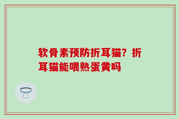 软骨素预防折耳猫？折耳猫能喂熟蛋黄吗-第1张图片-氨糖科普网