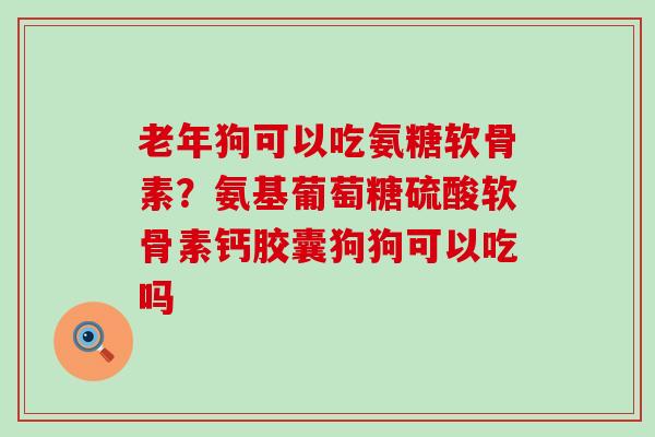 老年狗可以吃氨糖软骨素?氨基葡萄糖硫酸软骨素钙胶囊狗狗可以吃吗-第1张图片-氨糖科普网 老年狗可以吃氨糖软骨素?氨基葡萄糖硫酸软骨素钙胶囊狗狗可以吃吗-第1张图片-氨糖科普网