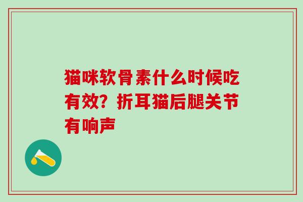 猫咪软骨素什么时候吃有效?折耳猫后腿关节有响声-第1张图片-氨糖科普网 猫咪软骨素什么时候吃有效?折耳猫后腿关节有响声-第1张图片-氨糖科普网