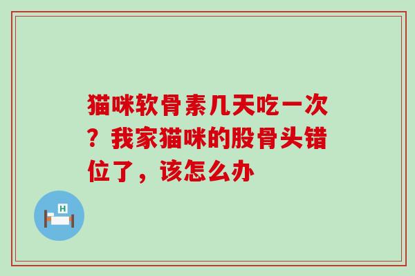 猫咪软骨素几天吃一次?我家猫咪的股骨头错位了,该怎么办-第1张图片-氨糖科普网 猫咪软骨素几天吃一次?我家猫咪的股骨头错位了,该怎么办-第1张图片-氨糖科普网