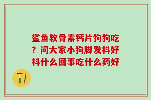 鲨鱼软骨素钙片狗狗吃?问大家小狗脚发抖好抖什么回事吃什么药好-第1张图片-氨糖科普网 鲨鱼软骨素钙片狗狗吃?问大家小狗脚发抖好抖什么回事吃什么药好-第1张图片-氨糖科普网
